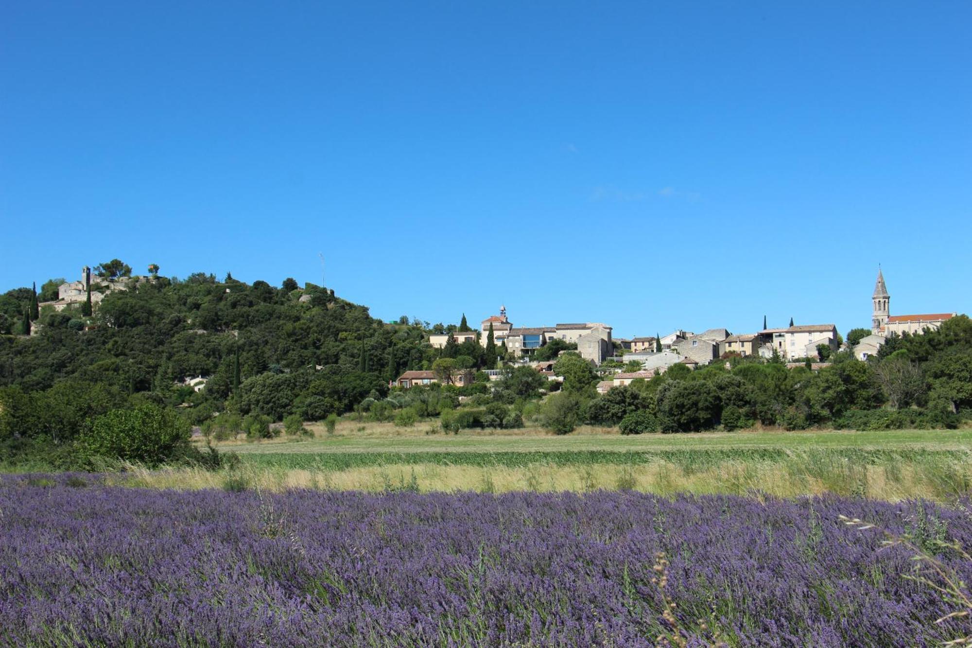 Le Pigeonnier, Gite Des Lucioles En Provence Montségur-sur-Lauzon Eksteriør bilde